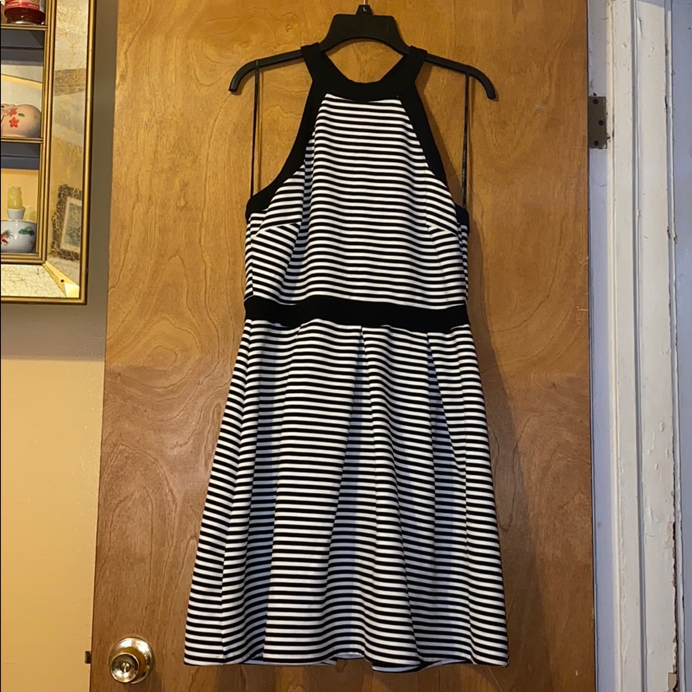 Stripe Skater Dress